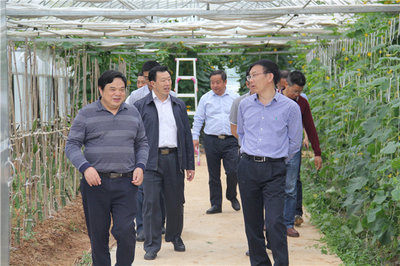 湖北省农科院院长焦春海一行调研市农科院现代农业展示中心 推动农业科学研究迈向新台阶