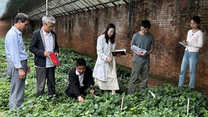 【最美科技工作者①】宝鸡市农业科学研究院刘明慧团队 西秦大地上的甘薯“守望者”