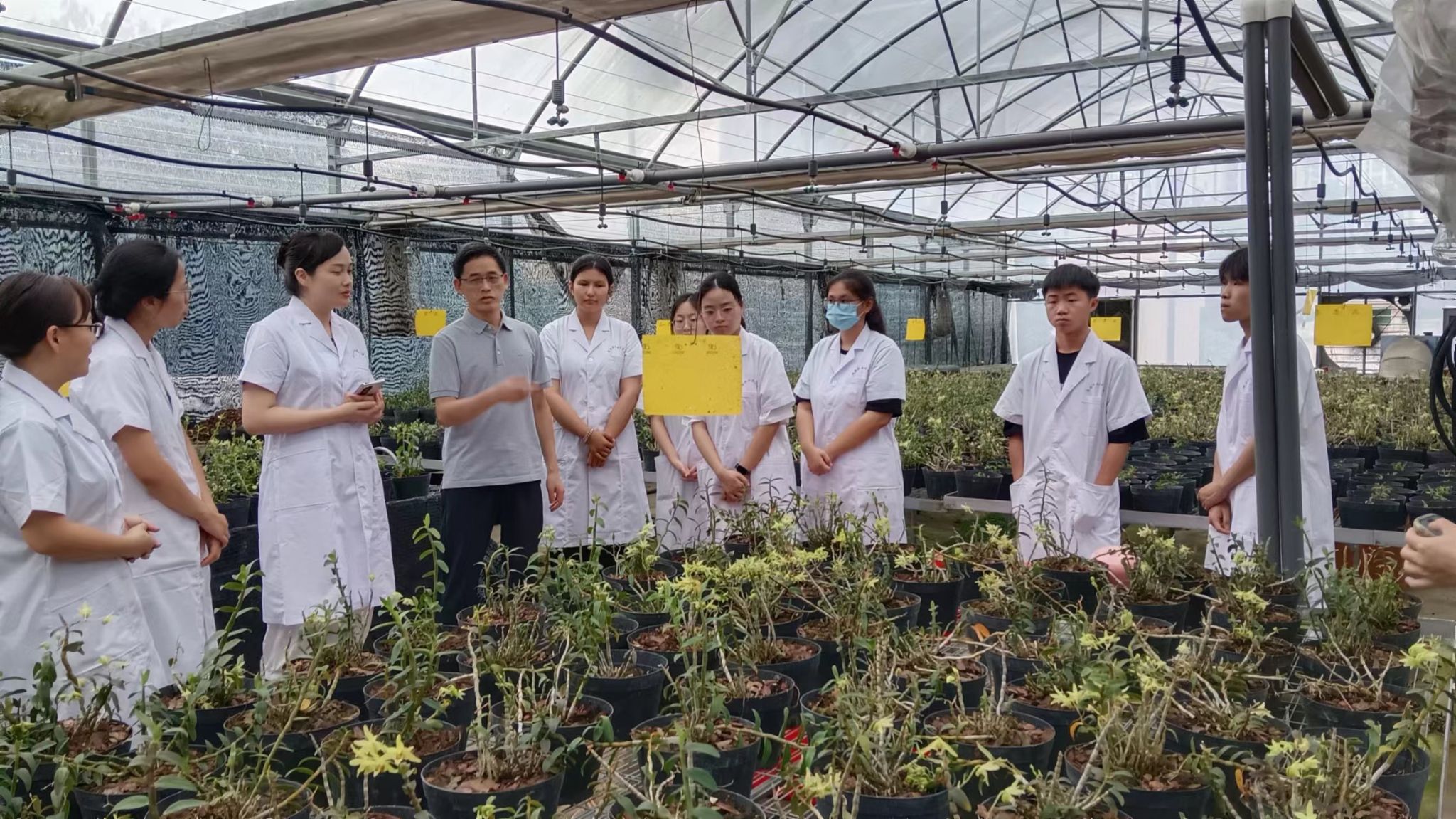 医学护理学院中药学专业赴龙岩市农业科学研究所开展产学研调研