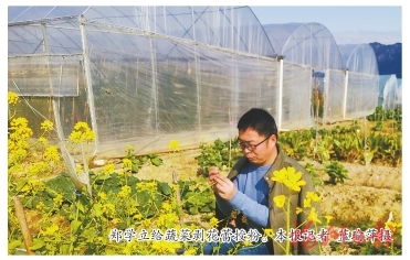 农业科研人员赶春忙早育苗，为农业科学研究播撒希望